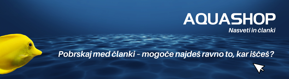 Članki in nasveti